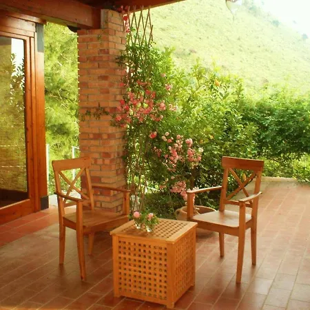 Nappi - Azienda Agricola Piano Delle Vigne