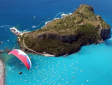 Nappi - Azienda Agricola Piano Delle Vigne *