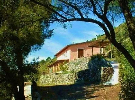 Nappi - Azienda Agricola Piano Delle Vigne