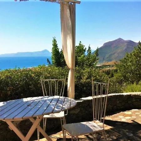 Nappi - Azienda Agricola Piano Delle Vigne