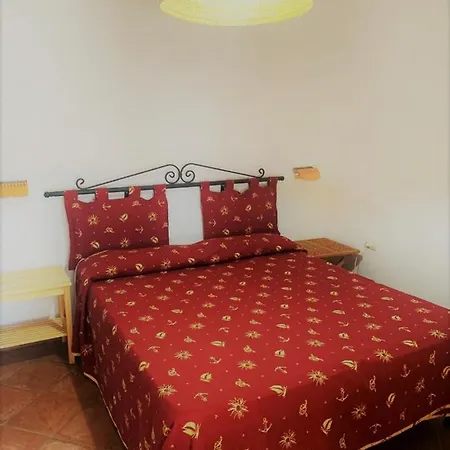 Nappi - Azienda Agricola Piano Delle Vigne Praia a Mare