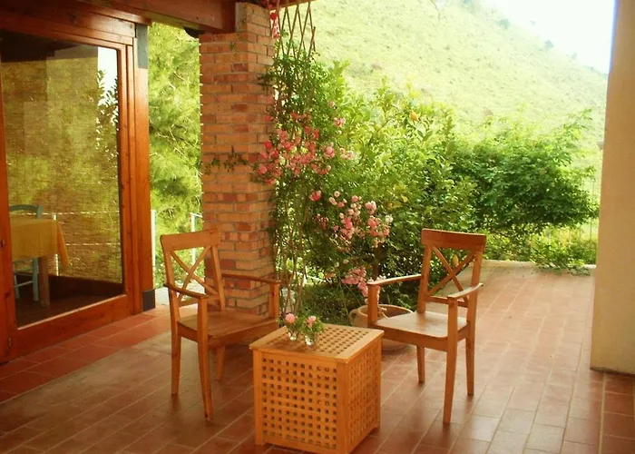 Nappi - Azienda Agricola Piano Delle Vigne