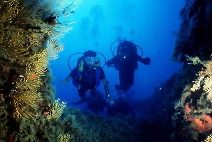 Nappi - Azienda Agricola Piano Delle Vigne Alojamento de Turismo Rural