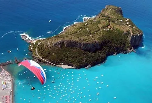 Nappi - Azienda Agricola Piano Delle Vigne *