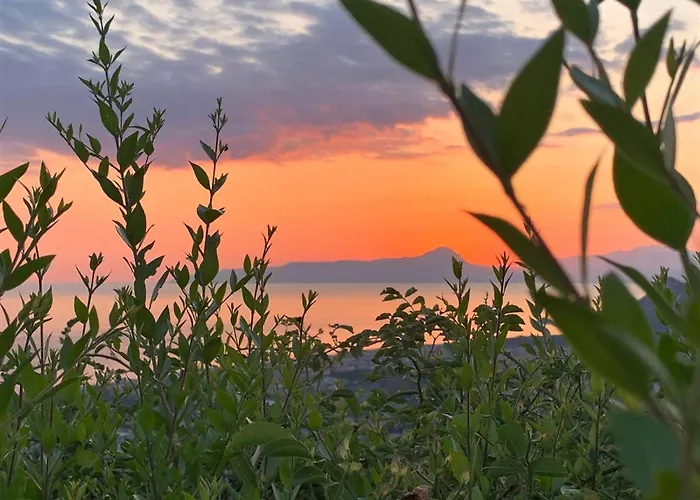Nappi - Azienda Agricola Piano Delle Vigne Alojamento de Turismo Rural *