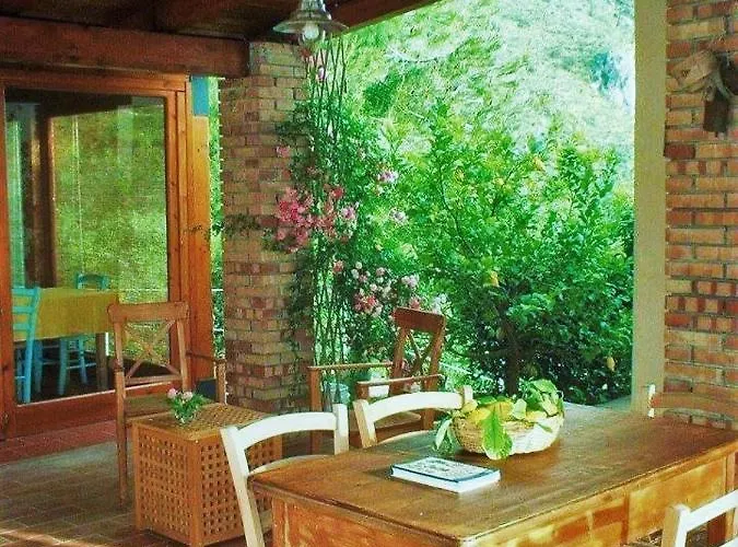 Nappi - Azienda Agricola Piano Delle Vigne * Praia a Mare