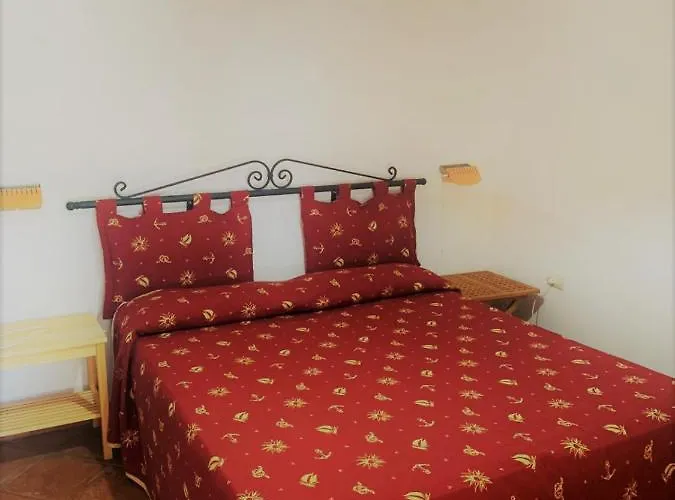 Nappi - Azienda Agricola Piano Delle Vigne Praia a Mare