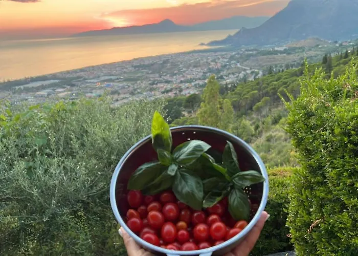 Nappi - Azienda Agricola Piano Delle Vigne *