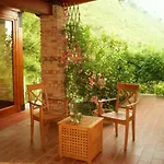 Nappi - Azienda Agricola Piano Delle Vigne