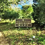 Nappi - Azienda Agricola Piano Delle Vigne