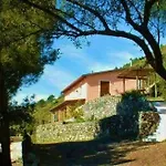 Nappi - Azienda Agricola Piano Delle Vigne