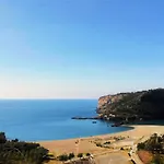 Nappi - Azienda Agricola Piano Delle Vigne Praia a Mare