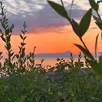 Nappi - Azienda Agricola Piano Delle Vigne Farma *