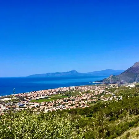 Nappi - Azienda Agricola Piano Delle Vigne Praia a Mare