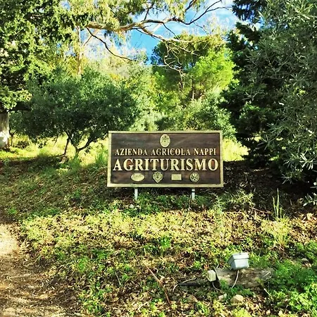Nappi - Azienda Agricola Piano Delle Vigne