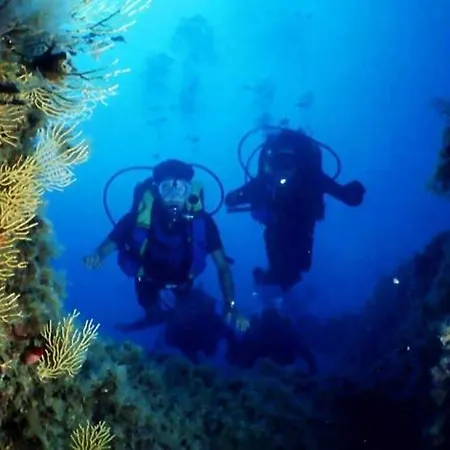 Nappi - Azienda Agricola Piano Delle Vigne Bauernhof