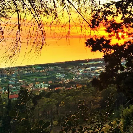 Nappi - Azienda Agricola Piano Delle Vigne