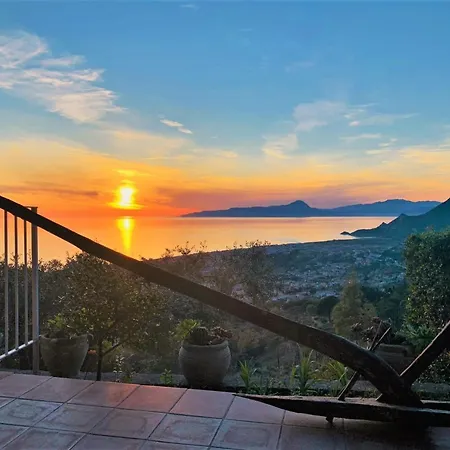 Nappi - Azienda Agricola Piano Delle Vigne *