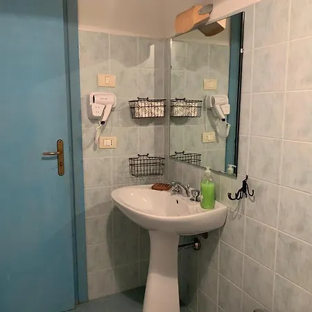 Nappi - Azienda Agricola Piano Delle Vigne Praia a Mare