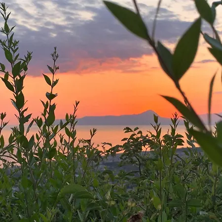 Nappi - Azienda Agricola Piano Delle Vigne Bauernhof *