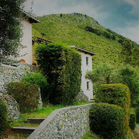 Bauernhof Nappi - Azienda Agricola Piano Delle Vigne Praia a Mare
