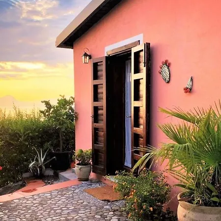 Farm stay Nappi - Azienda Agricola Piano Delle Vigne *