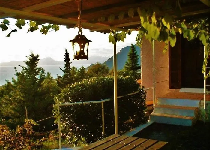 Nappi - Azienda Agricola Piano Delle Vigne Çiftlik konaklama Praia a Mare