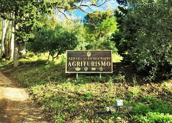 Nappi - Azienda Agricola Piano Delle Vigne