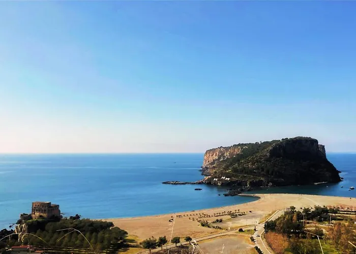 Nappi - Azienda Agricola Piano Delle Vigne Praia a Mare