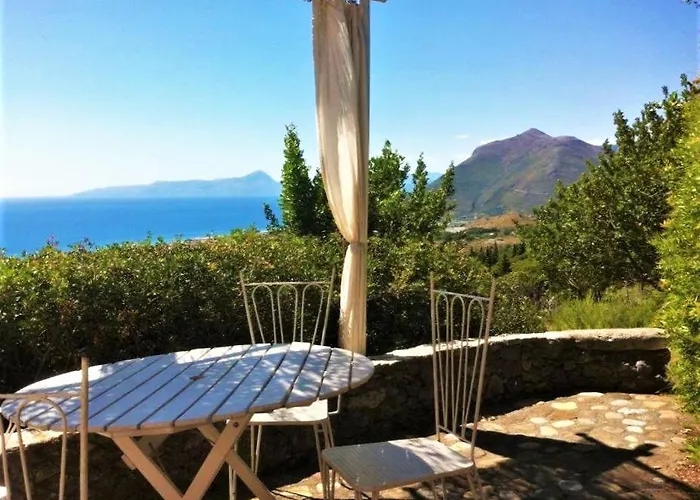 Nappi - Azienda Agricola Piano Delle Vigne