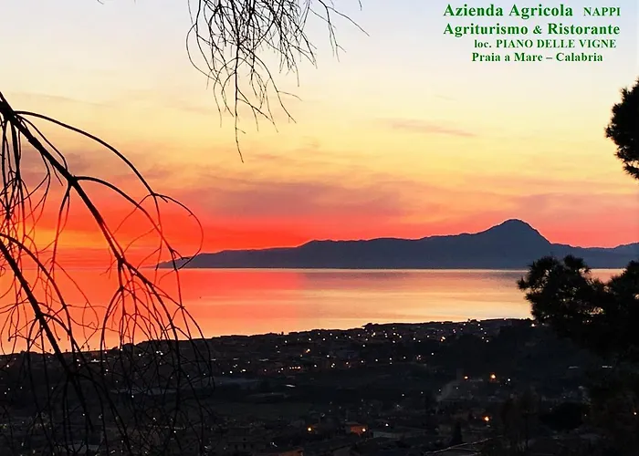 Nappi - Azienda Agricola Piano Delle Vigne Çiftlik konaklama Praia a Mare