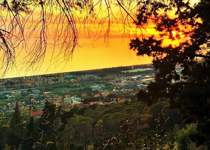 Nappi - Azienda Agricola Piano Delle Vigne