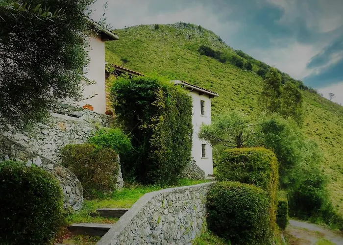 Çiftlik konaklama Nappi - Azienda Agricola Piano Delle Vigne Praia a Mare